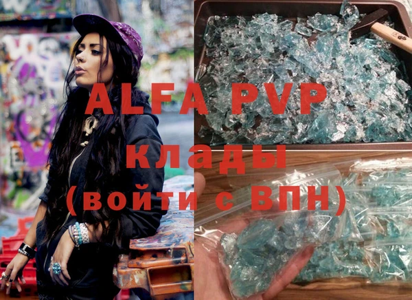 индика Баксан