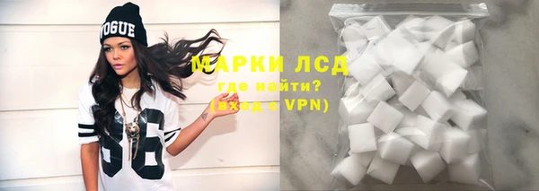 индика Баксан