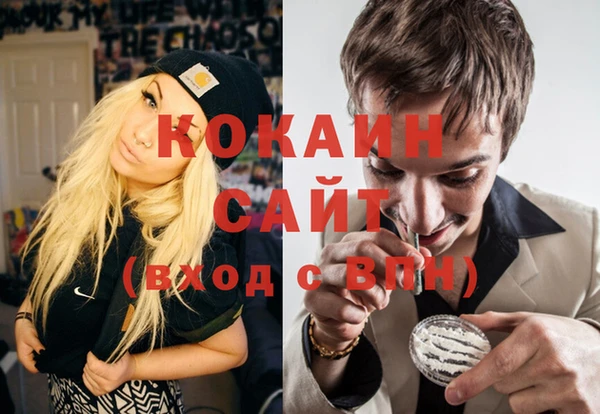 индика Баксан