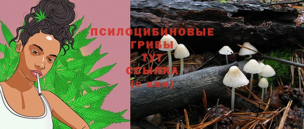 индика Балабаново