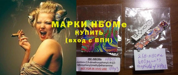 индика Баксан