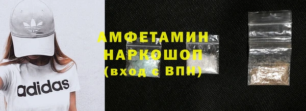 индика Баксан