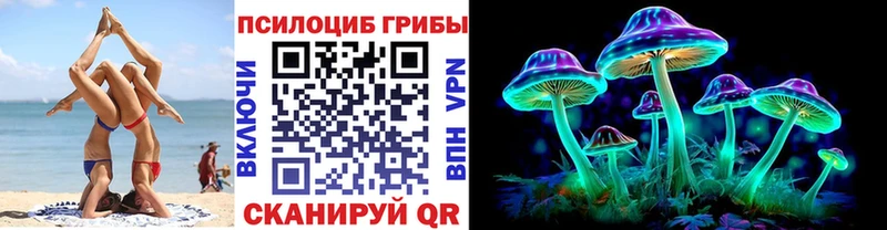Псилоцибиновые грибы Cubensis  Петушки 